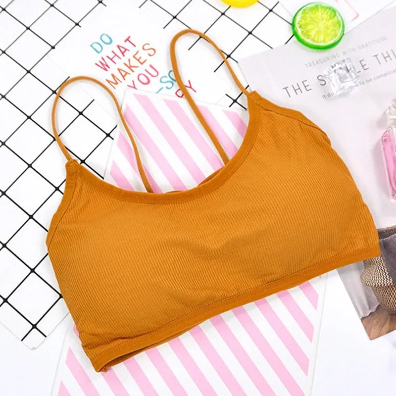 Cotton Padded Bra