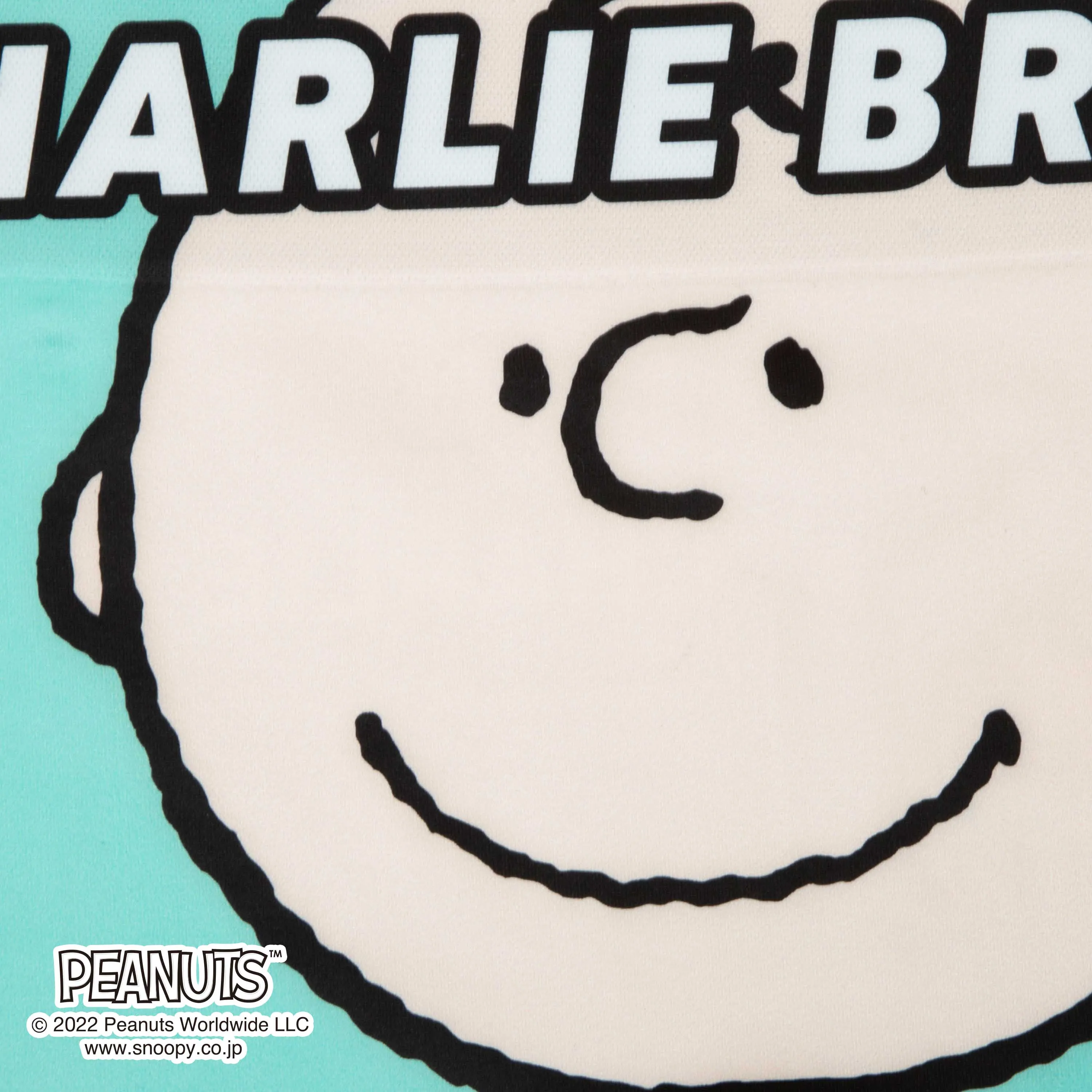 ＜PEANUTS＞CHARLIE BROWN/チャーリー・ブラウン　アンダーパンツ　メンズ　ポリエステルタイプ